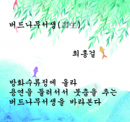최홍걸 시인의 '버드나무 서생"