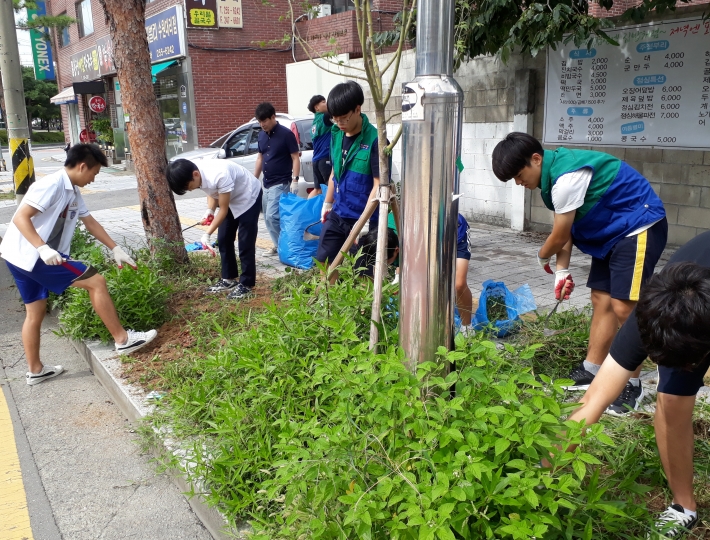 동원고등학교 학생들이 보도 주변 잡풀을 제거하고 있다.