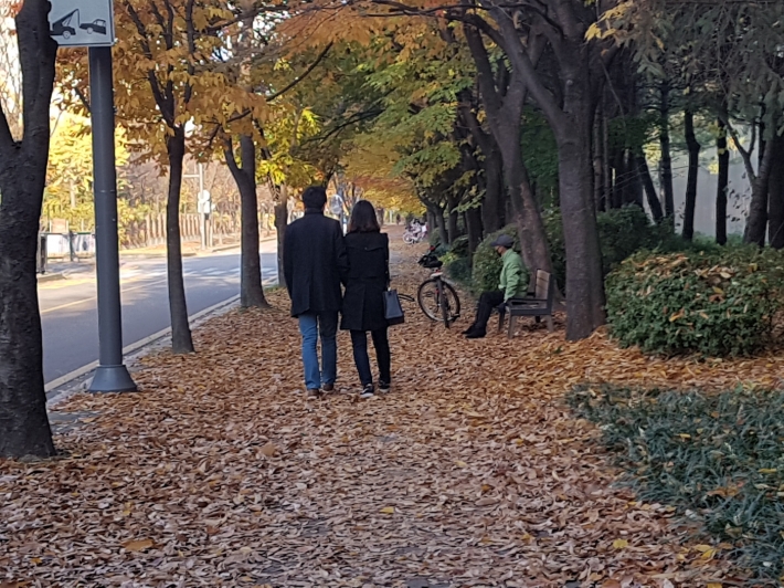 주말을 맞아 연인이 낙엽거리에서 깊어가는 가을을 즐기고 있다. 
