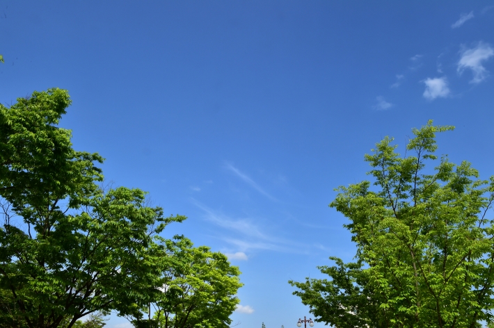수원시는 온실가스·미세먼지 감축 정책을 수립해 시행하고 있다. 사진은 미세먼지 없는 푸른 하늘.   