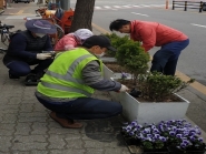 안전마을만들기협의회 회원이 정조로 일대에 비올라 꽃을 심고 있다. 