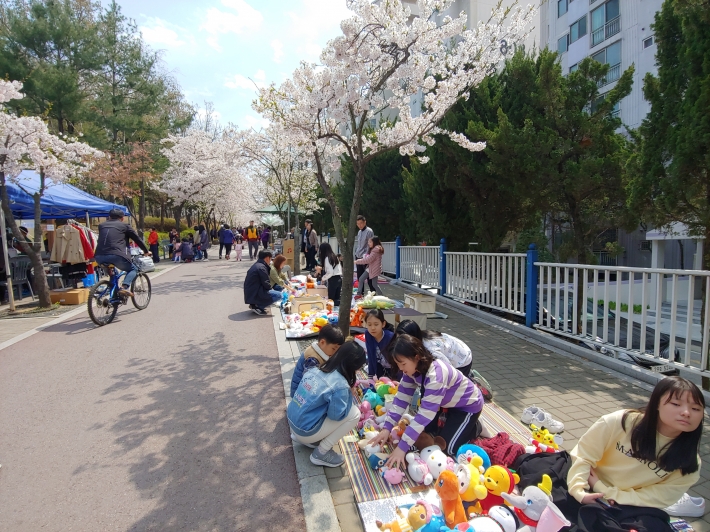 벚꽃길을 따라 플리마켓을 하는 청소년들