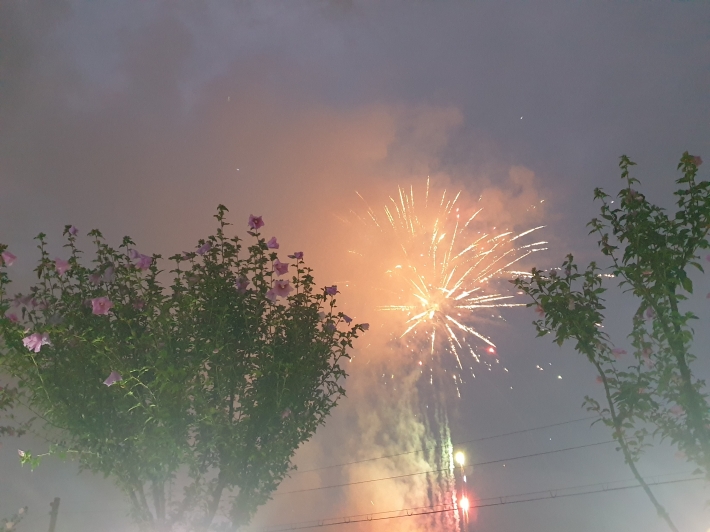 제29회 전국무궁화 수원축제 시작을 알리는 불꽃놀이가 밤하늘을 아름답게 수놓았다.  