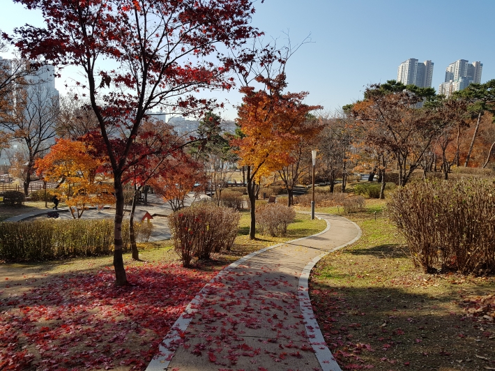 걷기 좋은 산책길이 있는 광교호수공원 
