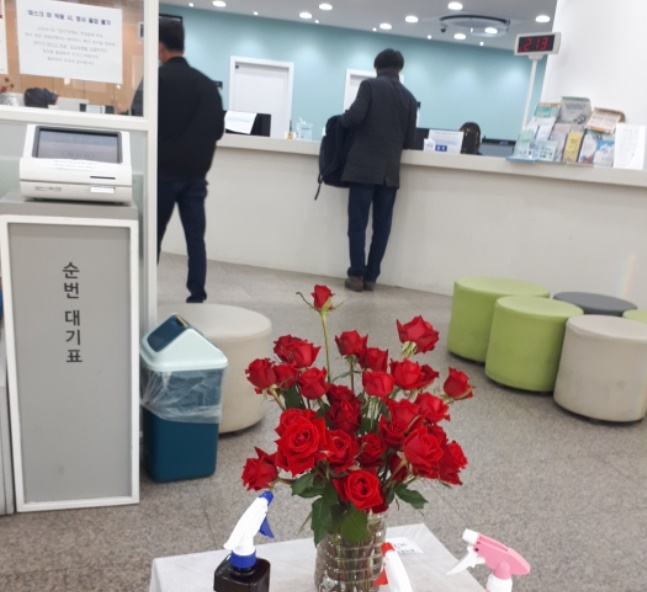 영통2동행정복지센터 민원실에 활짝 핀 장미