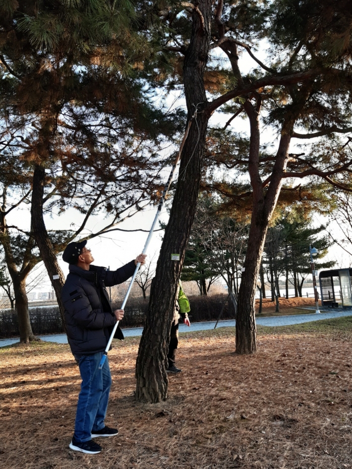 점검반이 공원 나무에 매달려 있는 끈을 제거하고 있다.  