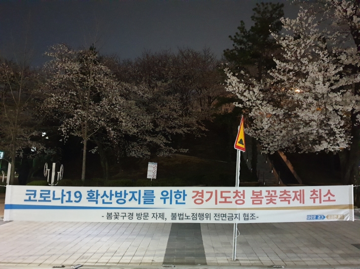 코로나19 확산 차단을 위해 '경기도청 및 광교산마루길 벚꽃축제'가 취소했다. 