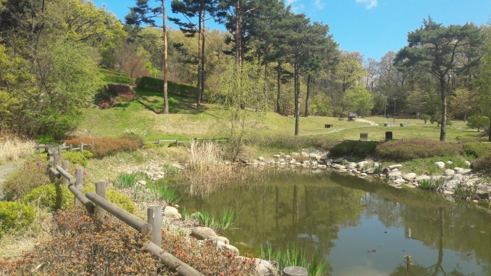 중앙공원 입구의 자연형 수로를 이용한 생태연못