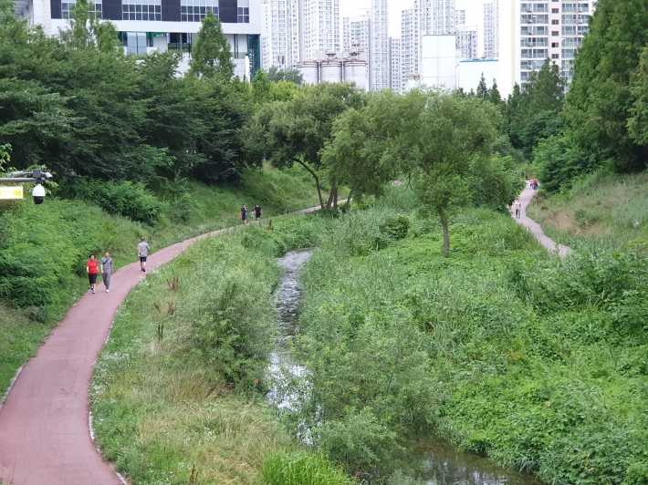 좌·우로 펼쳐진 산책로는 지역주민들에게 최고의 힐링 공간을 제공하고 있다.