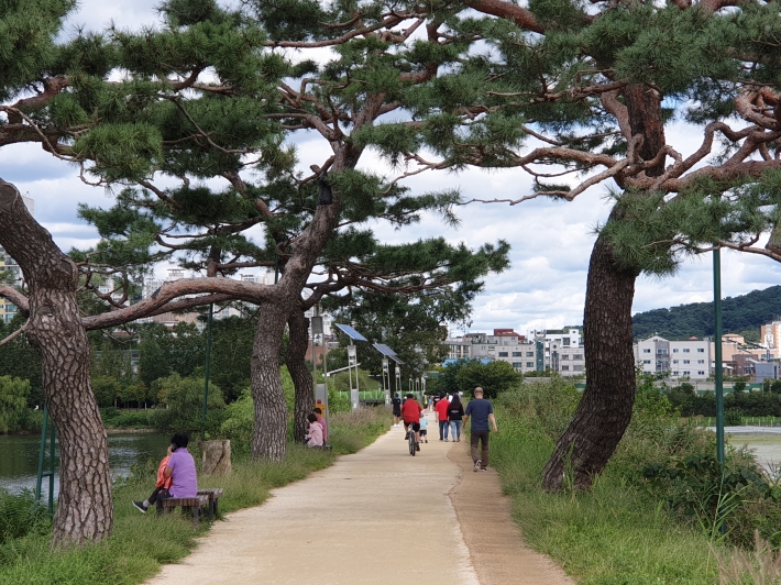 사회적 거리두기 2단계로 하향된 청명한 휴일...서호공원 산책로를 따라 걷고 뛰면서 답답함을 달래고 있는 시민들