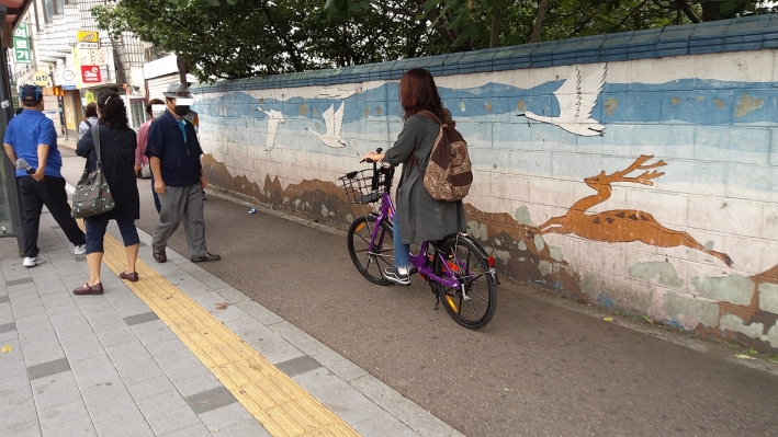 시민이 공유자전거 '타조'를 이용하고 있다