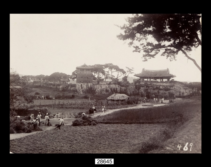 1907년 헤르만산더가 찍은 화서문 사진 / 사진 국립민속박물관