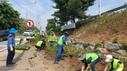 ‘2021 수원시민참여 천만그루 도시숲 만들기(당수동 진출입로 사면 나무 심기 활동)’ 참여자들이 철쭉류 관목을 식재하고 있다. 