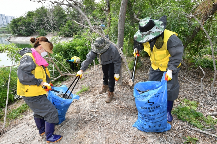 수원시 공직자와 환경단체 회원 등 관계자들이 13일 오전 축만제 내 인공섬에서 정화 활동을 하고 있다. 