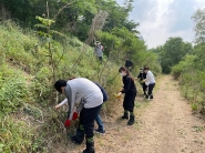 참여자들이 생태계교란 야생식물을 제거하고 있다.