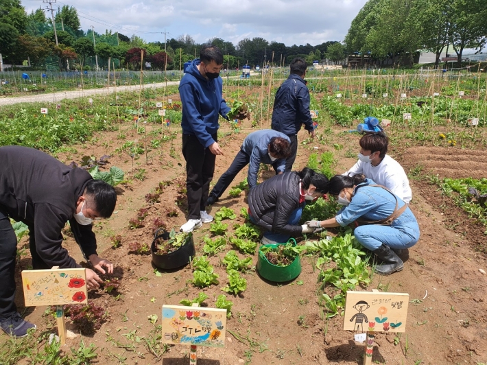탑동 시민농장 교육텃밭에서 '치유농업 프로그램'을 진행하는 모습.        