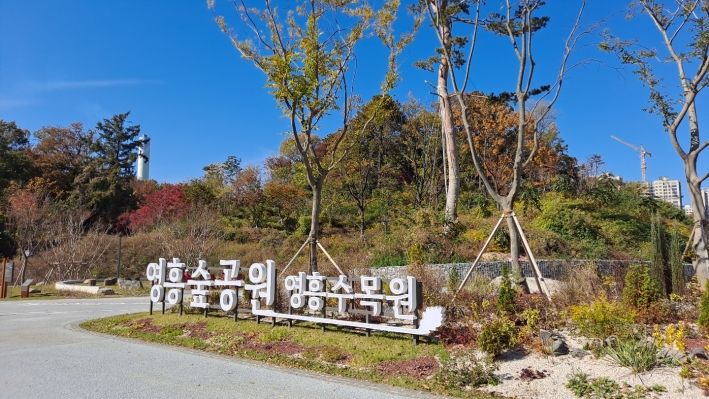 영흥숲공원