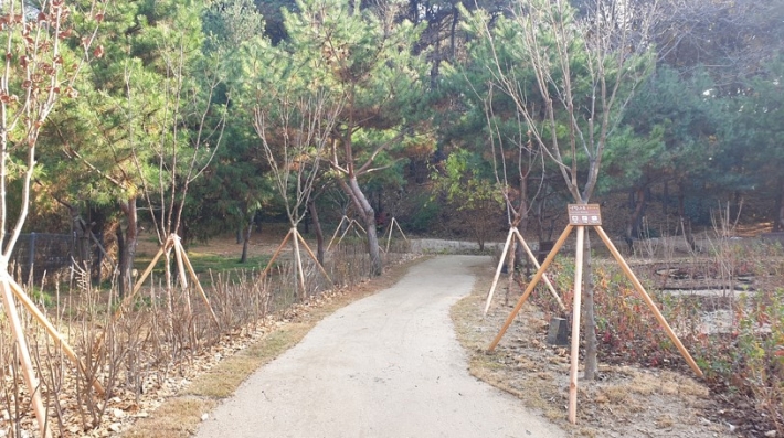 숙지공원 일부가 생태숲으로 준공된 모습