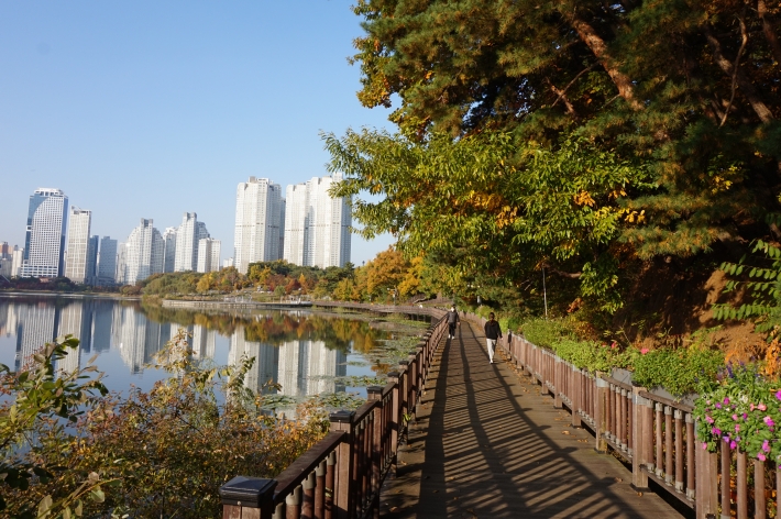 지난 가을 찍은 광교호수공원 (사진 김우영)
