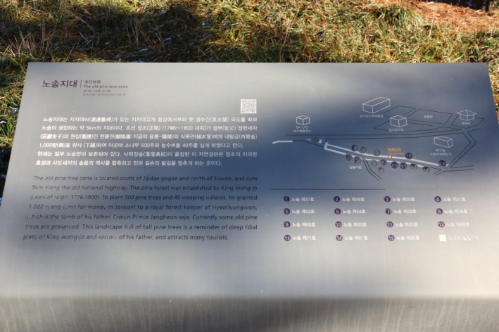 공원에서 관리 및 보존하고 있는 노송에 대해 번호로 표시된 안내문.