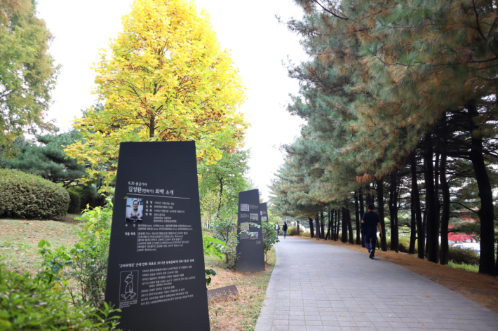 한국전쟁 당시 극박한 상황을 이야기로 만날 수 있는 '평화의 거리'