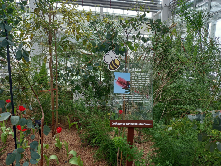 온실 내에는 아름답고 다채로운 밀원식물이 있다. 해당 식물에는 관람객이 알기 쉽도록 꿀벌 그림을 붙여 놓았다. 