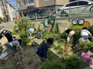 조원1동 마을만들기협의회 위원들이 마을정원 잡풀을 제거하고 있다.