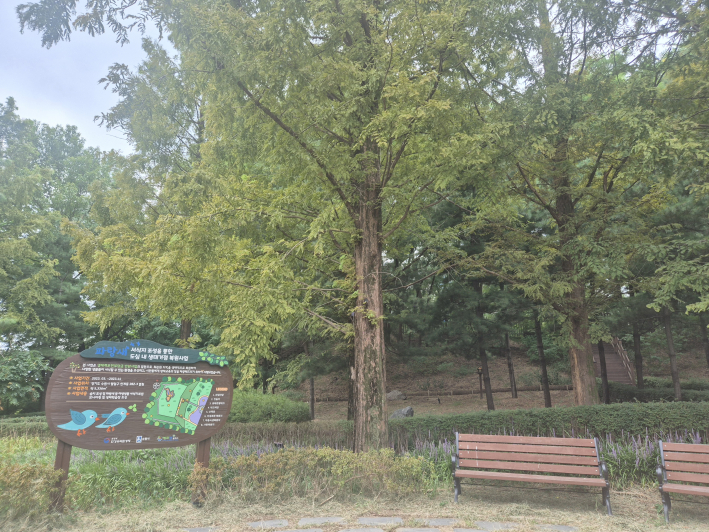 생각보다 훨씬 넓은 규모에 놀랐던 청소년문화공원, 걷다 보면 공간마다 다른 분위기를 만날 수 있다.
