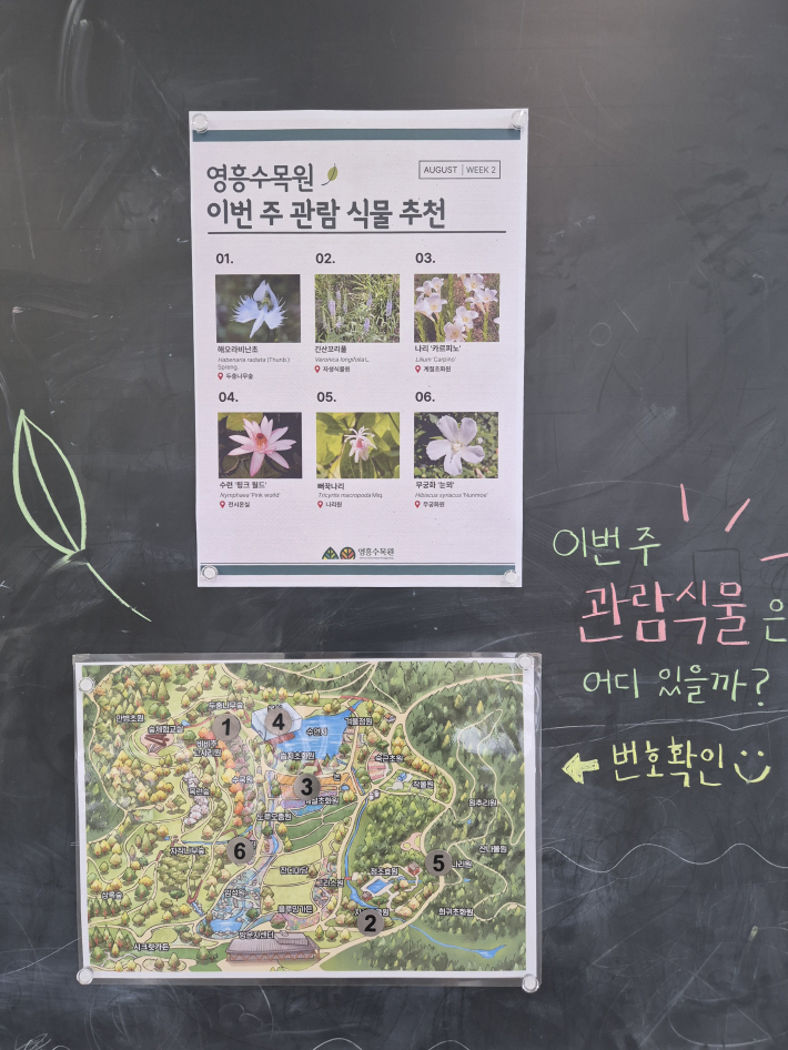 8월 방문한 주간에 만날 수 있는 식물과 개화 정보를 한눈에 확인할 수 있도록 안내하고 있다.