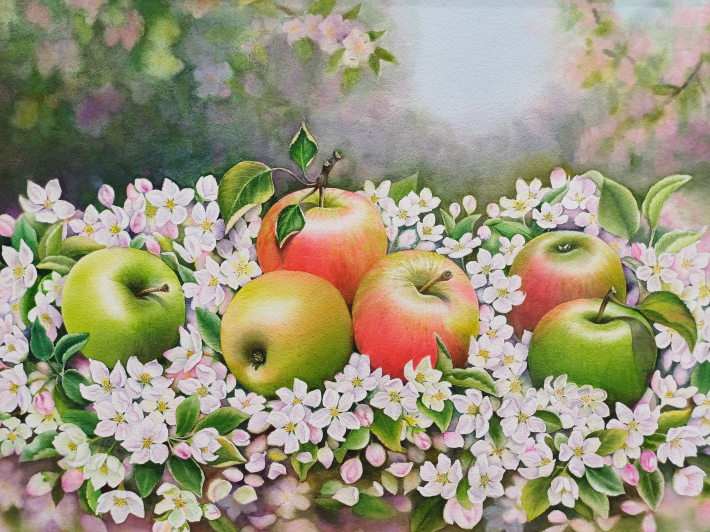 <사과 농장 1>의 사과나무, 72.7✕53.0cm, Watercolor on Paper