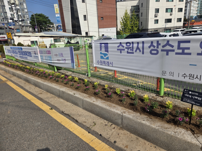 손바닥 정원을 정비한 모습