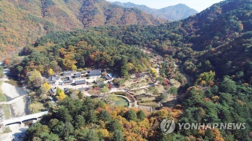 홍천 공작산 생태숲 전경[연합뉴스 자료사진]