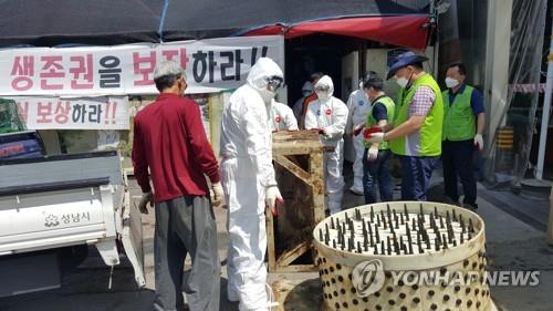 성남 모란시장 마지막 개 도축시설 철거…역사 속으로[연합뉴스 자료사진] 