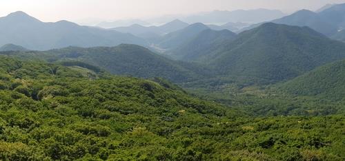 국립 난대수목원 후보지인 거제시 동부면 구천리 일대 산림