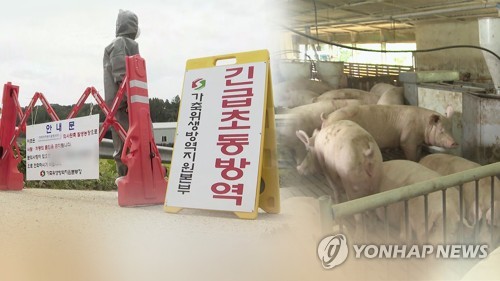접경지•한강 하구 몰려…북한서 유입 무게 실리나 (CG)