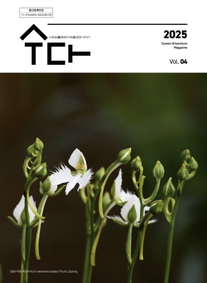 ��������� �ҽ��� ������ 4ȣ��