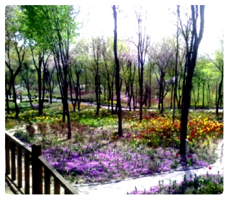 사랑과 낭만이 함께하는 한택 식물원 ,봄꽃 페스티벌!_1