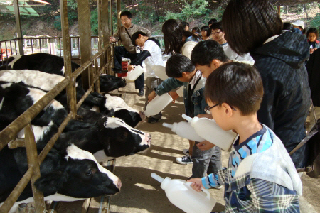 초등학교 4-H회원 농업문화 체험 교육_2
