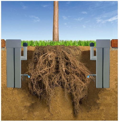 수원시 서부로 가로수 조성에 사용된 점적관수대 모형도. 뿌리 주변에 배치된 물통에서 소량의 물이 지속적으로 공급된다.