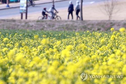 "봄아 반갑다" 포근한 날씨에 유명산·행락지 북적_1