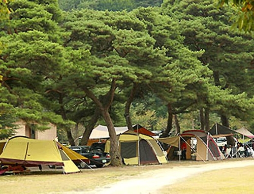 [연휴 N 여행] 강변에 야전침대 깔고 1박…5월 황금의 달 '무료 캠핑'의 맛_1