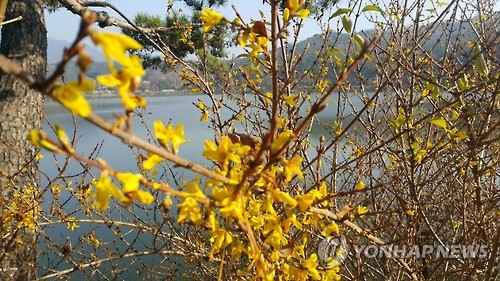 제천 의림지 '봄 여행주간' 방문객 11만명…증가율 전국 1위_1