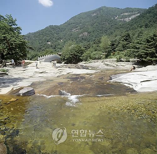 '안심하고 물놀이하세요'…강원 하천·계곡 수질 '청정·안전'_1