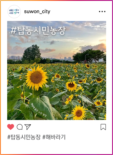 인스타그램이미지