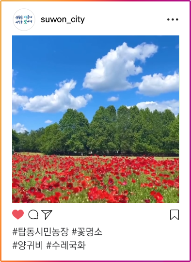 인스타그램이미지