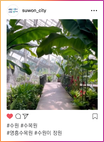 인스타그램이미지