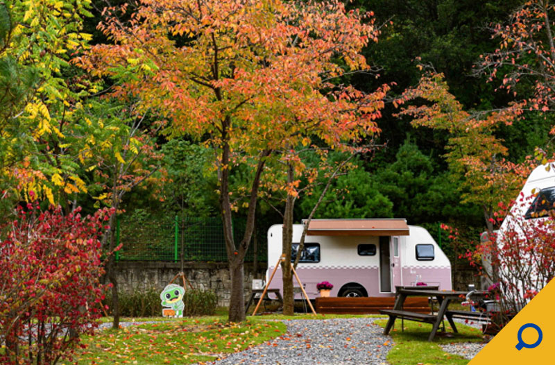 수원시뉴스이미지
