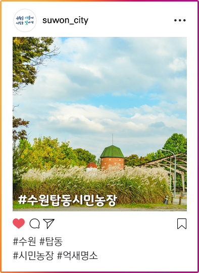 인스타그램이미지