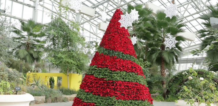 수원특례시, 12월 수목원 겨울 프로그램·전시 운영