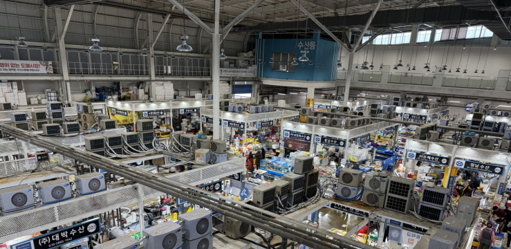 수원시농수산물도매시장 유통 수산물 3종, 방사능 안전성 검사… 모두‘적합’